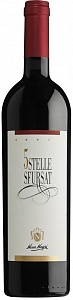 Nino Negri Valtellina 5 Stelle Sfursat