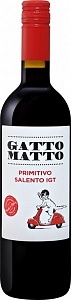 Gatto Matto Primitivo